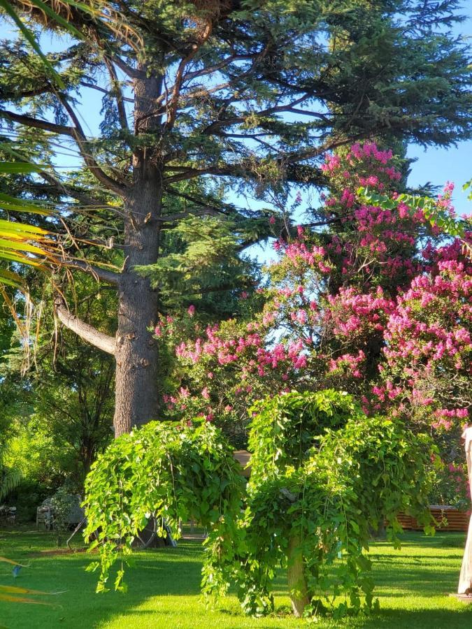 Quinta Ugarte Bed & Breakfast Lujan de Cuyo Exterior foto